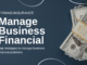 How To Manage Business Financial problems